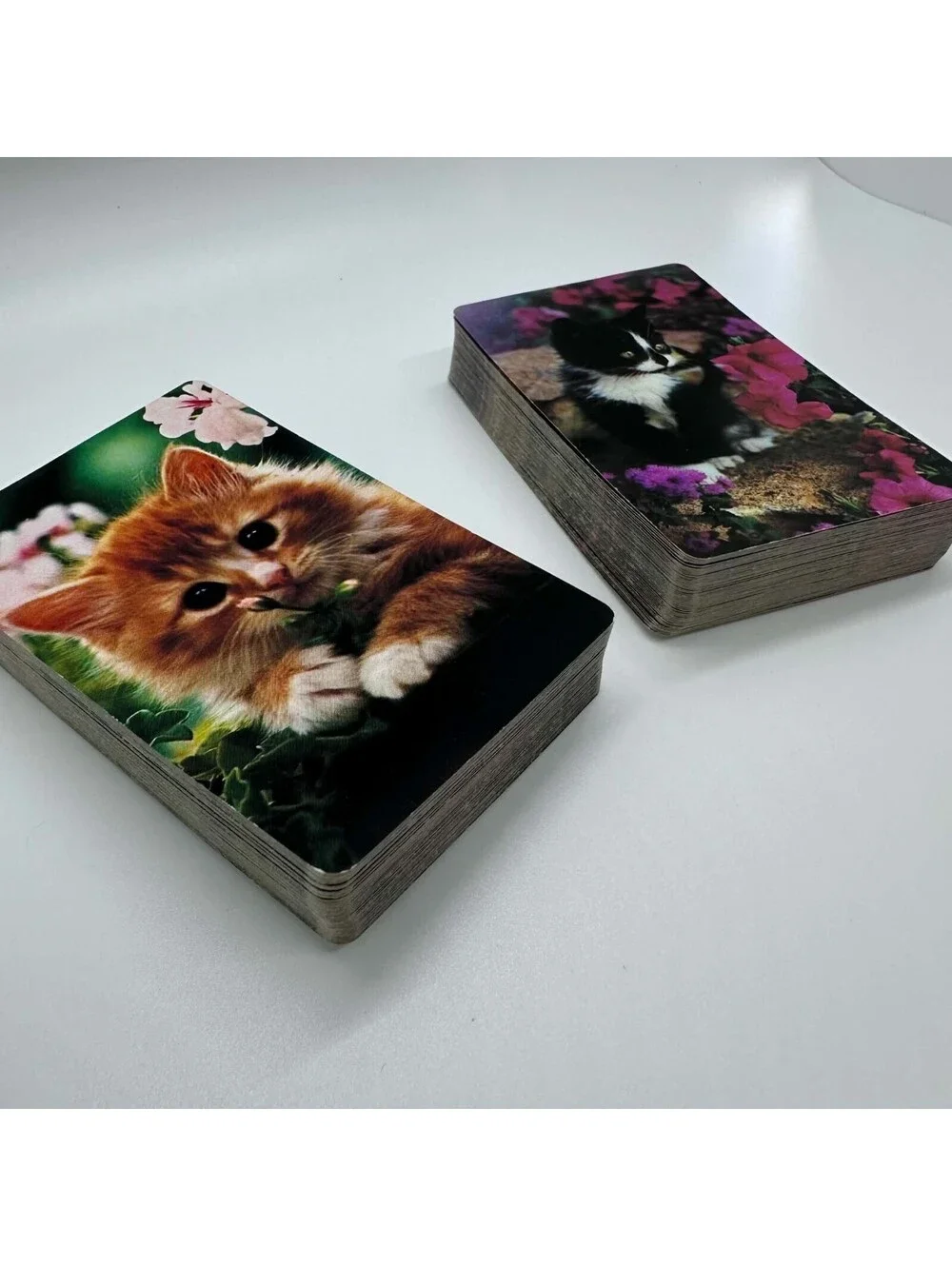 Hallmark Kitten Playing Cards 2 Complete Decks Cat Design Clear Case EUC